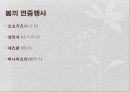 [일본문화] 계절로 살펴본 일본의 1년 연중행사 분석 [2012년 평가우수자료] 3페이지