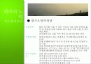 기후변화의 현황과 원인, 기후변화 대책현황 및 한국의 노력방안 [2012년 평가우수자료] 37페이지