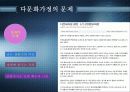 다문화 가정의 현황, 문제점, 특징, 고찰과 분석, 전망 및 발전방향 제시 [2012년 평가우수자료] 15페이지