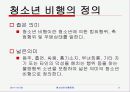 청소년의 비행문제 3페이지