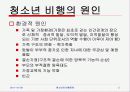 청소년의 비행문제 5페이지