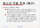 청소년의 비행문제 11페이지