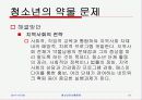 청소년의 비행문제 13페이지