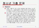 청소년의 비행문제 19페이지