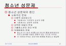 청소년의 비행문제 23페이지