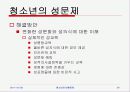 청소년의 비행문제 24페이지