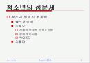 청소년의 비행문제 27페이지