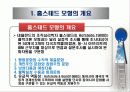 비교 문화 모형 - 홉스테드(Hofstede)의 모형 3페이지