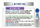 비교문화 모형 - 홀의 모형 3페이지