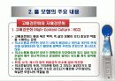 비교문화 모형 - 홀의 모형 4페이지