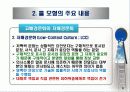 비교문화 모형 - 홀의 모형 6페이지