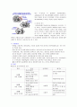 천식(Asthma)에 관하여 5페이지