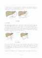 total gastrectomy case study 13페이지