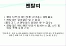 엔탈피 측정 9페이지