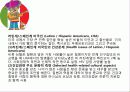 Chapter 2. 다문화 집단과 건강 10페이지