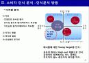 신제품 포지셔닝 전략과 제품차별화 31페이지