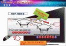 Glycolysis 에 대해서 10페이지