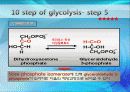 Glycolysis 에 대해서 12페이지