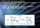 Glucose 이외의 영양분들의 대사경로 진입에 관하여 4페이지