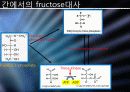 Glucose 이외의 영양분들의 대사경로 진입에 관하여 5페이지