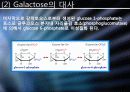 Glucose 이외의 영양분들의 대사경로 진입에 관하여 8페이지