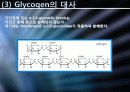 Glucose 이외의 영양분들의 대사경로 진입에 관하여 12페이지