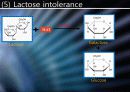 Glucose 이외의 영양분들의 대사경로 진입에 관하여 14페이지