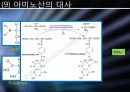 Glucose 이외의 영양분들의 대사경로 진입에 관하여 19페이지