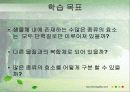 효소는 어떻게 구성되어 있을까? 2페이지