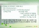 효소는 어떻게 구성되어 있을까? 7페이지