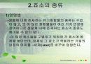 효소는 어떻게 구성되어 있을까? 8페이지
