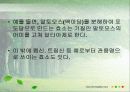 효소는 어떻게 구성되어 있을까? 9페이지