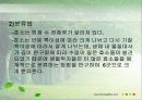효소는 어떻게 구성되어 있을까? 10페이지