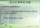 효소는 어떻게 구성되어 있을까? 13페이지