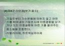 효소는 어떻게 구성되어 있을까? 16페이지