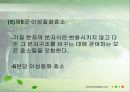 효소는 어떻게 구성되어 있을까? 17페이지