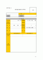 사회문제, 프로그램의 구체화 28페이지