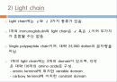 Immunoglobulin의 구조, 유전자, 기능에 관한 모든것! 특A급 자료(그림 다수) 파워포인트(PPT) 7페이지
