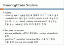 Immunoglobulin의 구조, 유전자, 기능에 관한 모든것! 특A급 자료(그림 다수) 파워포인트(PPT) 10페이지