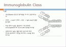 Immunoglobulin의 구조, 유전자, 기능에 관한 모든것! 특A급 자료(그림 다수) 파워포인트(PPT) 12페이지