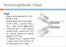 Immunoglobulin의 구조, 유전자, 기능에 관한 모든것! 특A급 자료(그림 다수) 파워포인트(PPT) 14페이지