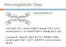 Immunoglobulin의 구조, 유전자, 기능에 관한 모든것! 특A급 자료(그림 다수) 파워포인트(PPT) 15페이지