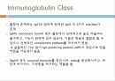 Immunoglobulin의 구조, 유전자, 기능에 관한 모든것! 특A급 자료(그림 다수) 파워포인트(PPT) 17페이지