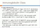 Immunoglobulin의 구조, 유전자, 기능에 관한 모든것! 특A급 자료(그림 다수) 파워포인트(PPT) 19페이지