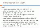 Immunoglobulin의 구조, 유전자, 기능에 관한 모든것! 특A급 자료(그림 다수) 파워포인트(PPT) 21페이지