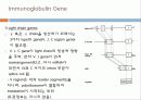 Immunoglobulin의 구조, 유전자, 기능에 관한 모든것! 특A급 자료(그림 다수) 파워포인트(PPT) 24페이지