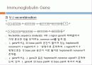 Immunoglobulin의 구조, 유전자, 기능에 관한 모든것! 특A급 자료(그림 다수) 파워포인트(PPT) 27페이지