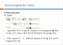 Immunoglobulin의 구조, 유전자, 기능에 관한 모든것! 특A급 자료(그림 다수) 파워포인트(PPT) 30페이지