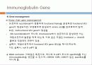 Immunoglobulin의 구조, 유전자, 기능에 관한 모든것! 특A급 자료(그림 다수) 파워포인트(PPT) 35페이지