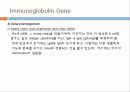 Immunoglobulin의 구조, 유전자, 기능에 관한 모든것! 특A급 자료(그림 다수) 파워포인트(PPT) 37페이지